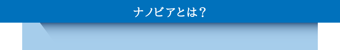 ナノビアとは？